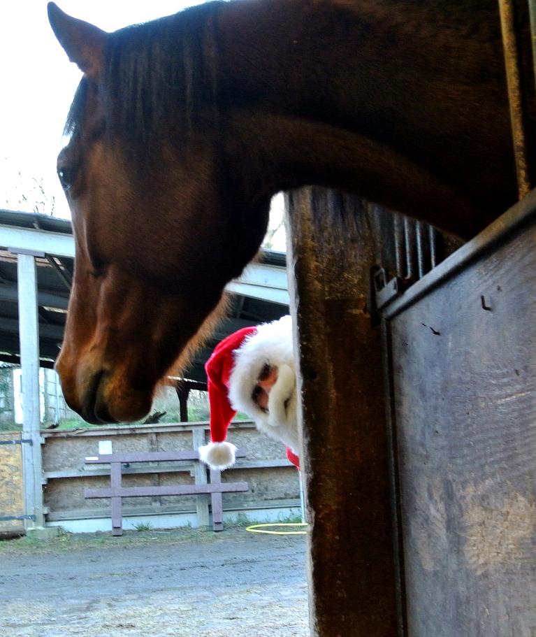 Horse Pro-Services, Noël du CE Petit Souper