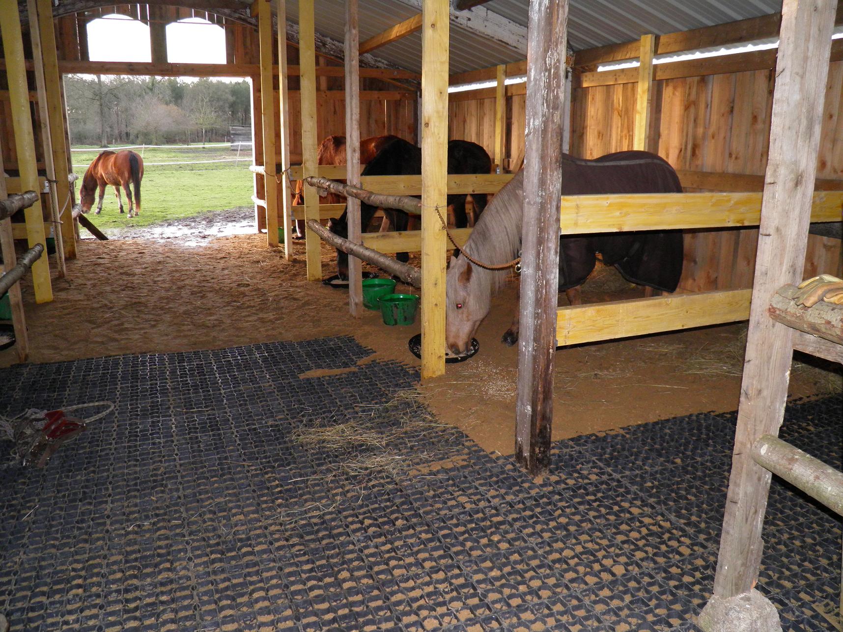 Dalles ecoraster, stabilisation de sol, Horse Pro-Services